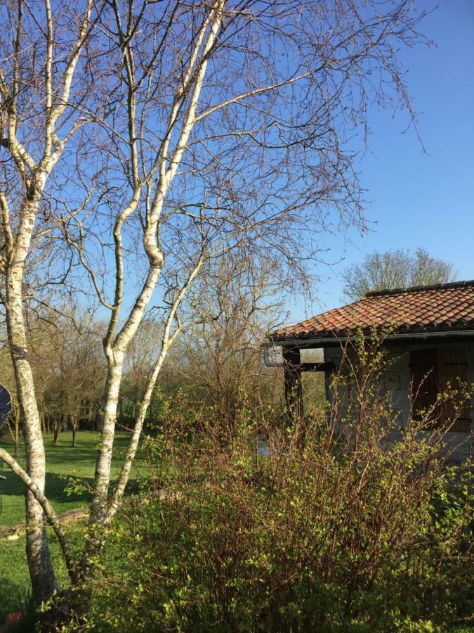Gite Des Chouettes Muron Exterior photo